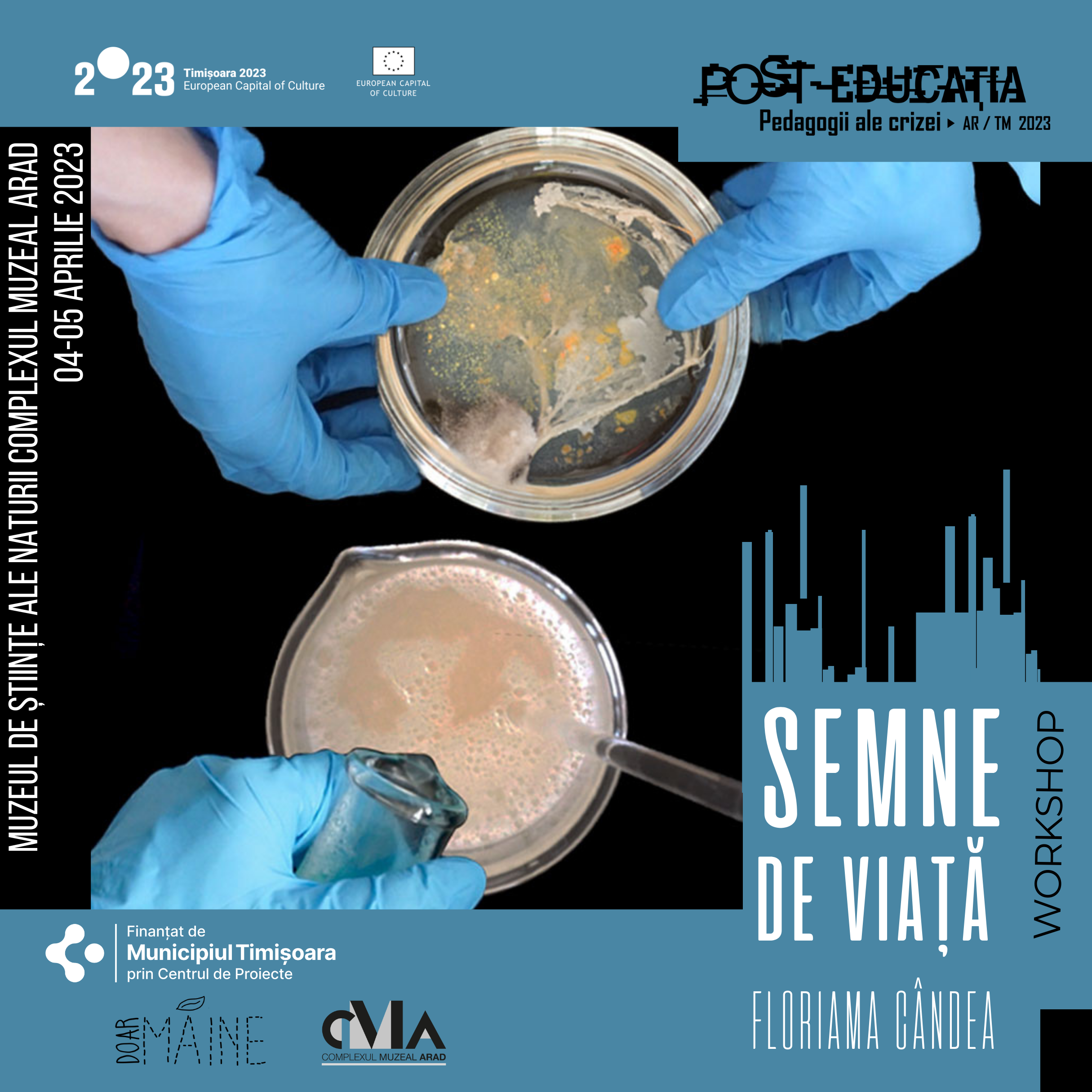 Semne de viață / Atelier practic Pedagogii ale crizei