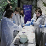 Semne de viata – Atelier bioarta