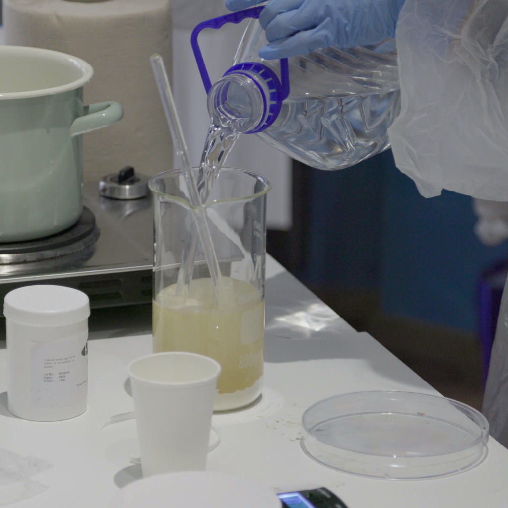 Semne de viata – Atelier bioarta